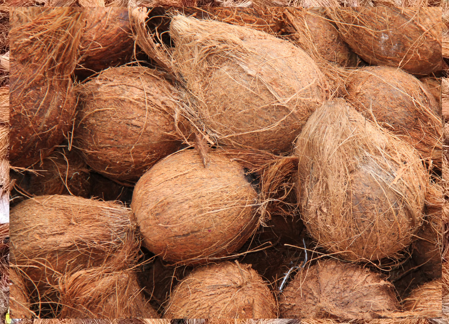 Indonesian coconut products prepared for export buyers