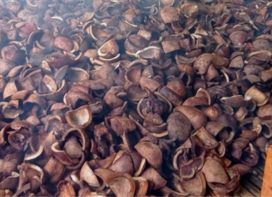 Copra supplier from Indonesia